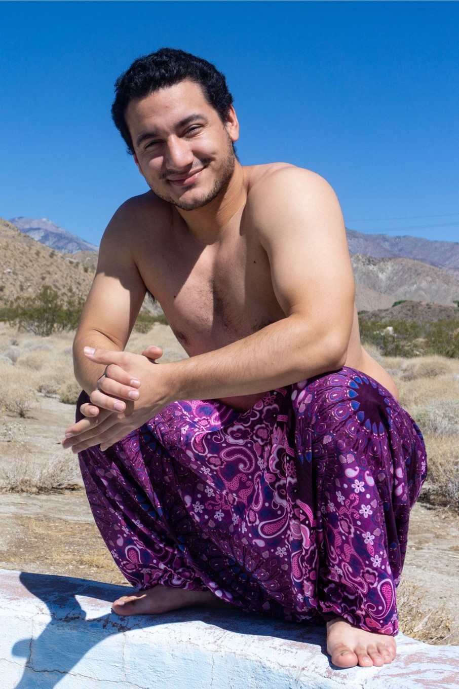 Men HaremPants | Plus Size Paisley Mandalas Drop Crotch Men'S Harem Pants In Purple